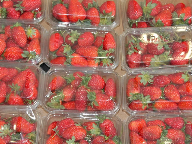 Csomagolási lehetőségek